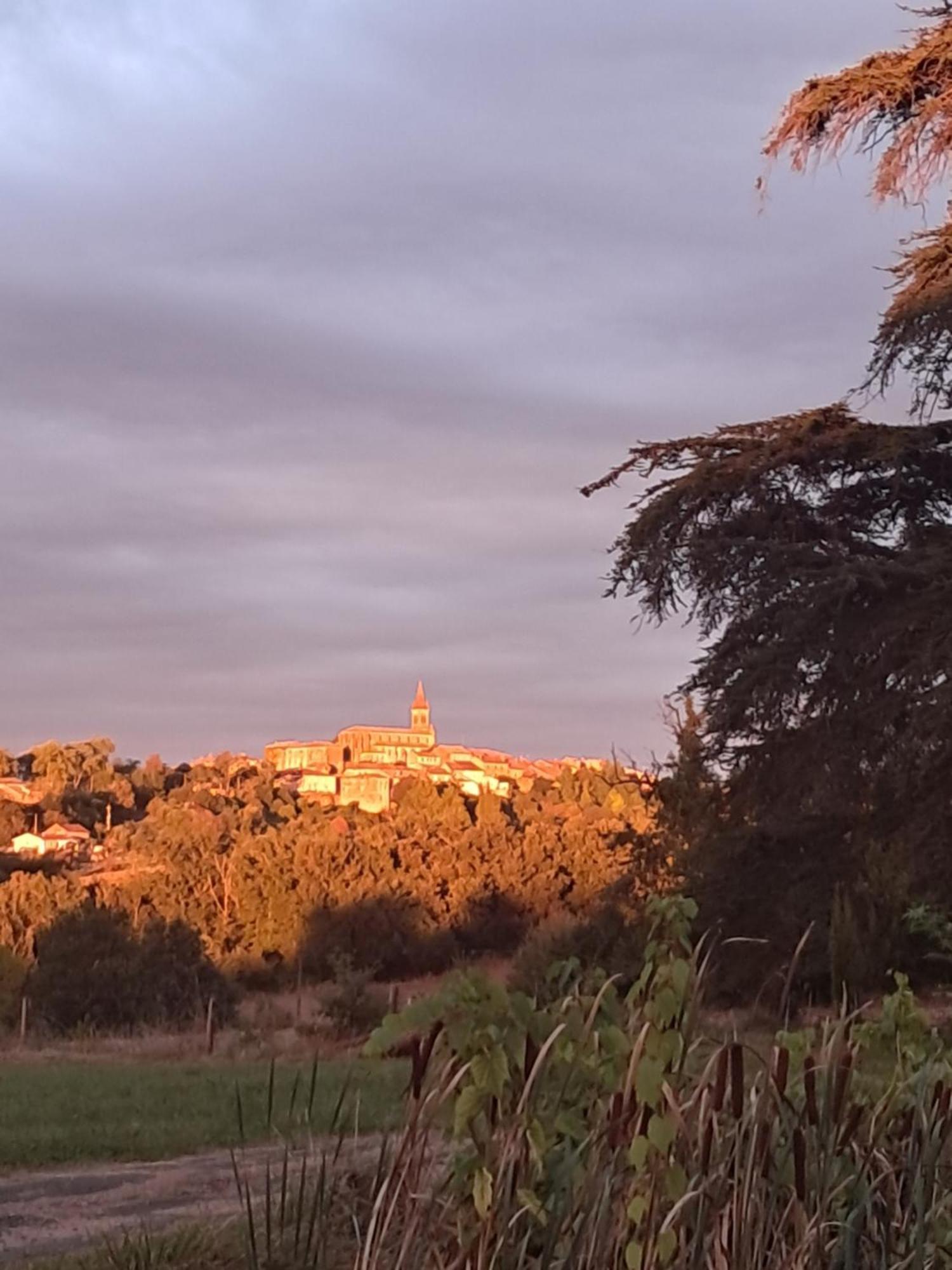 Aux Roses De Cedres Chambre Savane Salvagnac Exterior foto